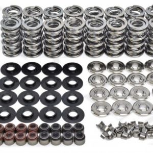 Brian Tooley Racing - .660" Lift Platinum Spring Kit with Titanium Retainers for Gen V LT4 (SK008)