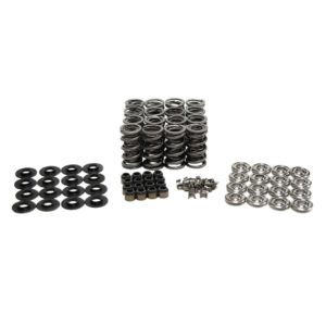 Brian Tooley Racing - .685" Lift Valve Spring Kit with Titanium Retainers for LS7 Engines (SK702)