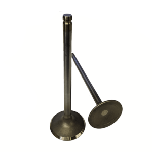 GM - LT1/LT4 (Gen V) Exhaust Valve (12678746)