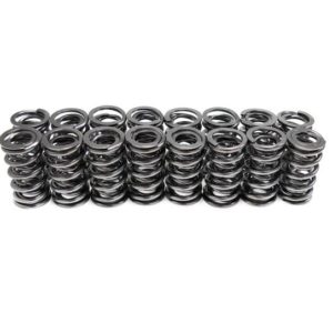 BTR - Platinum Dual Valve Spring Set .660" Lift (SP001-16)