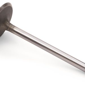 GM Performance - L83 Intake Valve (12619825)