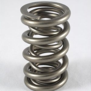 PAC Racing - RPM Series Valve Springs (PAC-1209X-16)
